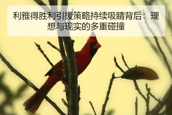 利雅得胜利引援策略持续吸睛背后：理想与现实的多重碰撞